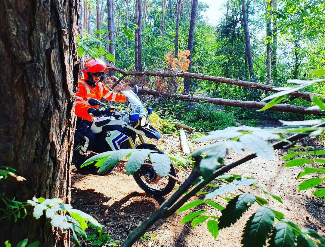 Moto in het bos